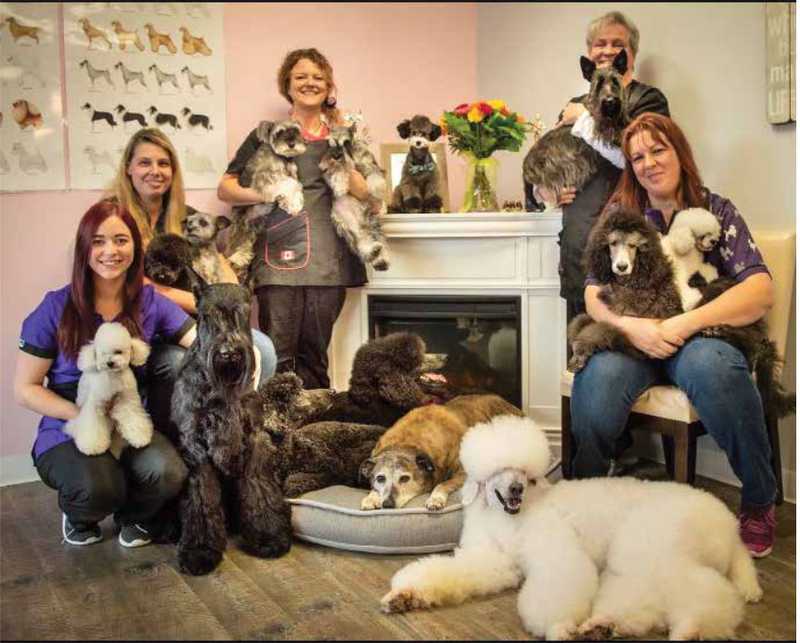 It's a Dog's Life Staff It's a Dog's Life Staff