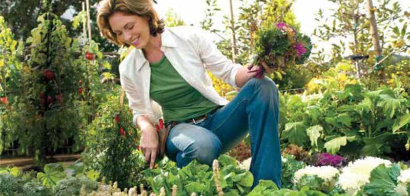 Woman gardening in summer Woman gardening in summer