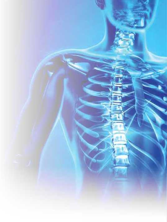 Blue Skeleton Blue Skeleton