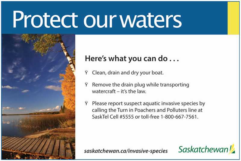 Instructions on how to stop invasive species Instructions on how to stop invasive species
