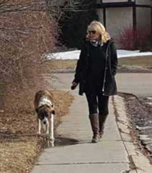 Penny Germain is walking her dog Otis, the friendly Great Pyrenees Border Collie cross rescue dog Penny Germain is walking her dog Otis, the friendly Great Pyrenees Border Collie cross rescue dog