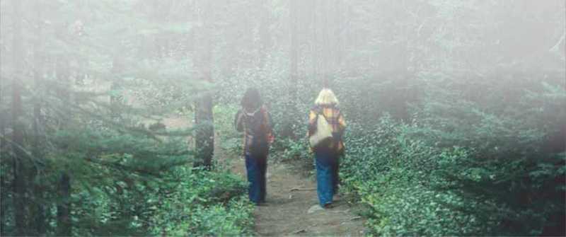Two women hiking on dirt path in evergreen forest Two women hiking on dirt path in evergreen forest