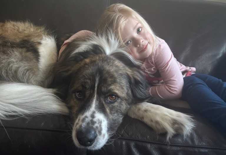 Toddler hugging OTIS, a Great Pyrenees / Border Collie rescue dog Toddler hugging OTIS, a Great Pyrenees / Border Collie rescue dog