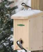 Two song birds on a bird house in winter Two song birds on a bird house in winter